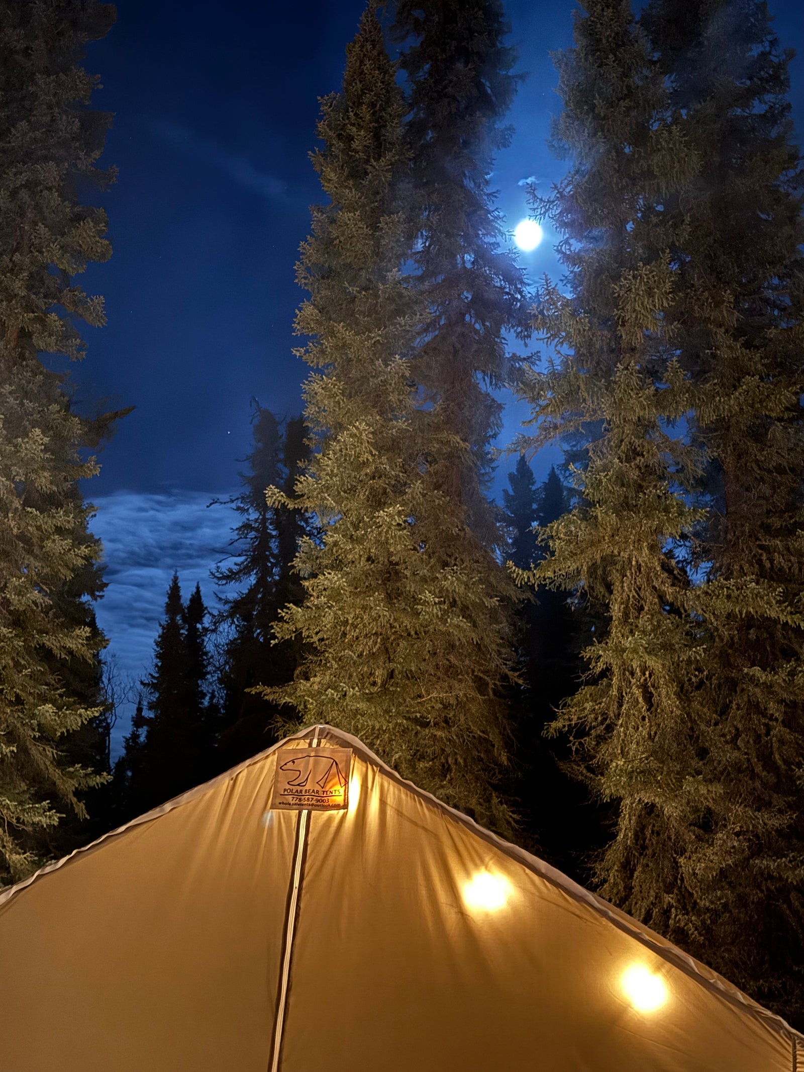 Wall tent glowing under a full moon